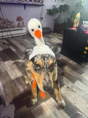 Handmade Crochet Goose Hat for Dogs and Cats, Pet Costume Accessory
